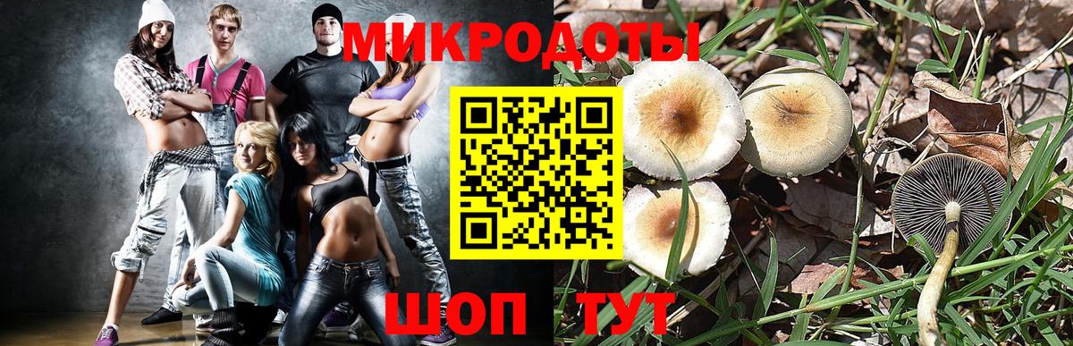 Краснотурьинск  Псилоцибиновые грибы Psilocybe  Вход с VPN  Псилоцибиновые грибы Cubensis 